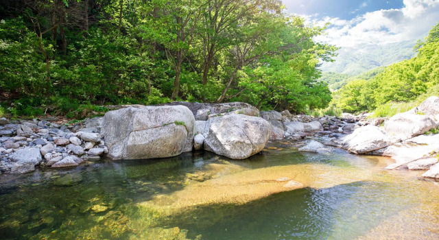 Gapyeong Cheotnooneh Pension