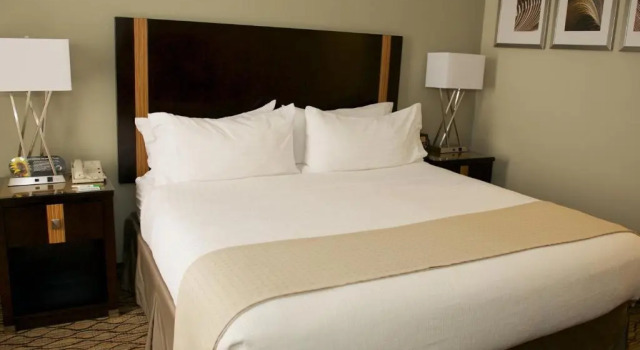 Двухместный номер Executive Holiday Inn Effingham by IHG