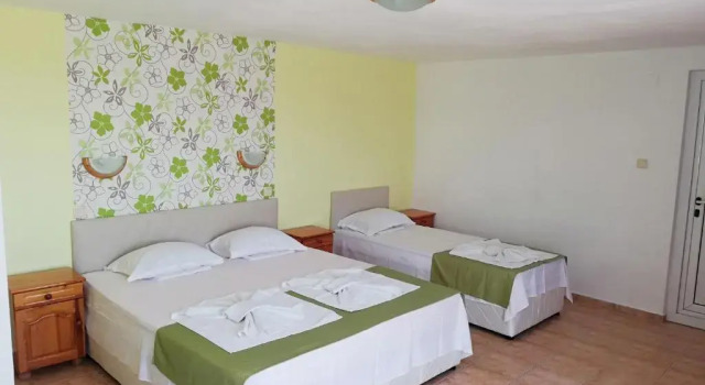 Номер Standard Family Hotel Sofi