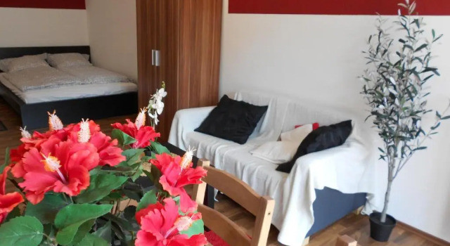 Студия Apartment Beethoven