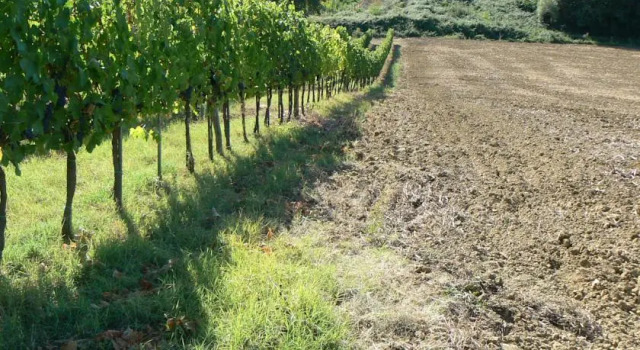 Appartamento Vicino a Siena, Reserva ahora Apartamento Poggibonsi 