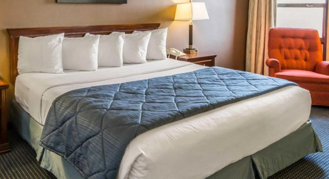 Номер Quality Inn Schaumburg - Chicago near the Mall