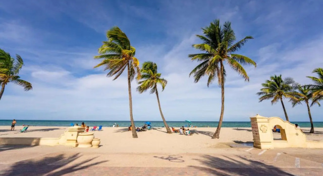 Студия Standard The Surf Hollywood Beach