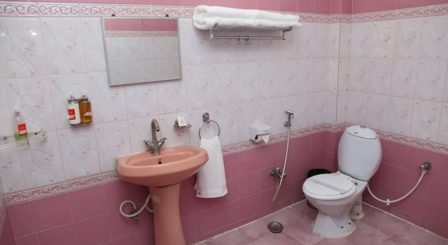 Двухместный номер Executive Hotel Gupta Inn