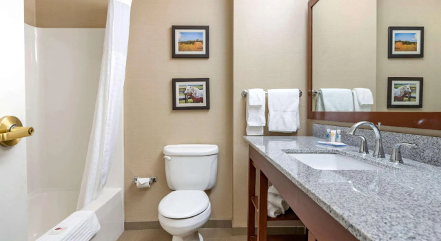 Двухместный номер Standard Comfort Inn & Suites Northern Kentucky