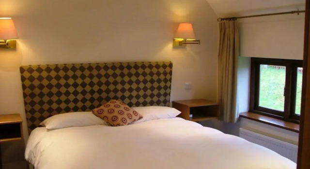 Номер Standard Golden Lion Hotel