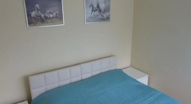 Апартаменты Apartament Zebra