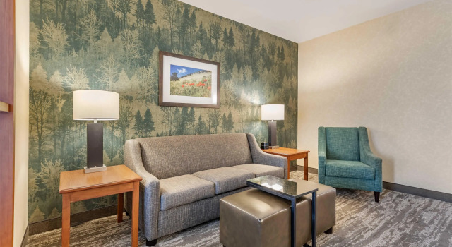 Номер Deluxe Drury Plaza Hotel Denver Central Park