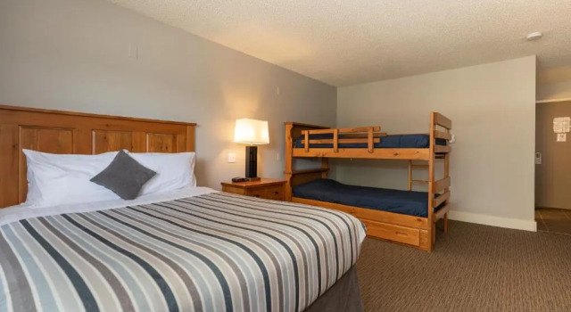 Standard famille chambre Red Tree Lodge