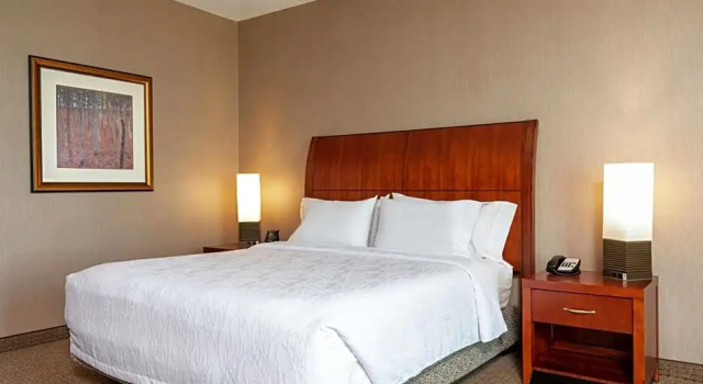 Полулюкс Standard Hilton Garden Inn Columbus Edinburgh