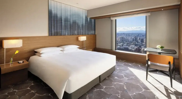 Двухместный номер с видом на парк Hyatt Regency Tokyo