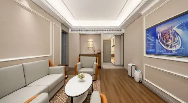 Люкс Deluxe Vienna International Hotel (Heze Shan Development Zone Shunshi Building)