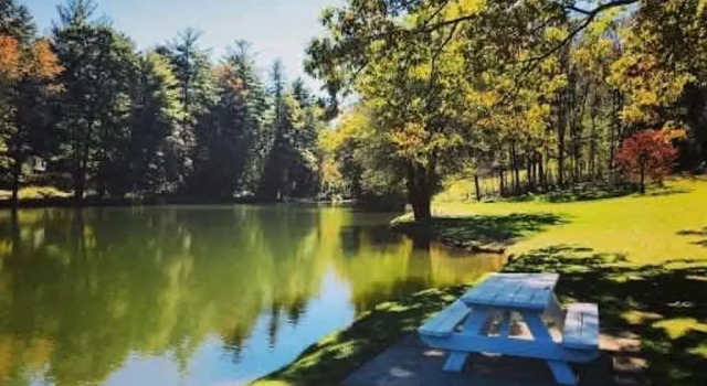 Студия Stone Studio Lakefront Pool Access