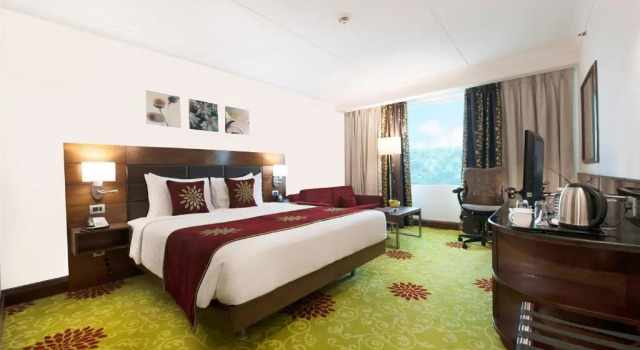 Двухместный номер Premium Hilton Garden Inn New Delhi/Saket