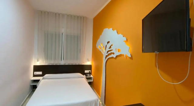 Одноместный номер Standard Sol Playa
