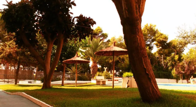 Апартаменты Coveta Beach Apartament