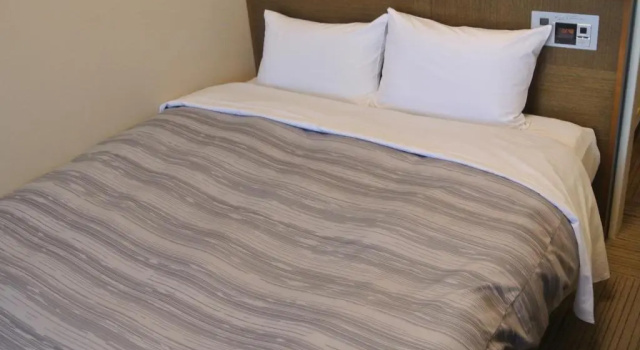 Двухместный номер Standard Hotel Route-Inn Toyotajinnaka