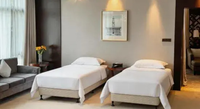 Семейный люкс Executive Wuhan Conference Center