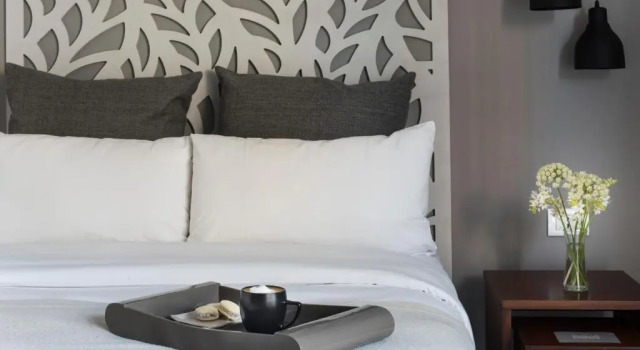Двухместный номер Deluxe Rochester Hotel Classic