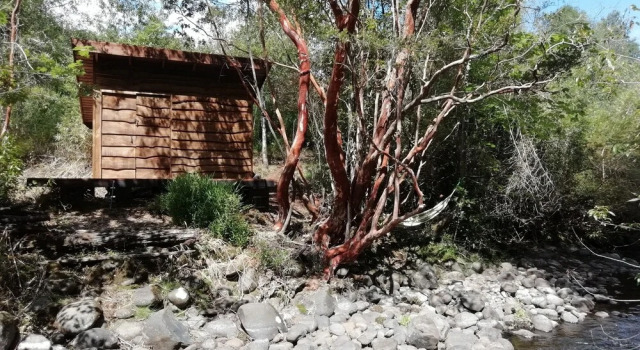 Бунгало Entre Pampa y Bosque
