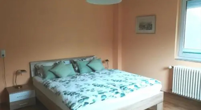 Nichtraucherferienwohnung-Neckarblick, Rezervați Hotel Heidelberg Heidelberg