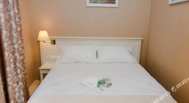 Номер Standard Pletnevskiy Inn