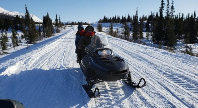 Denali Wild Stay