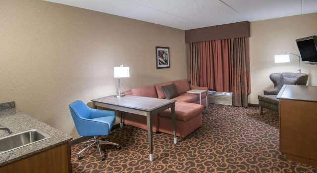 Люкс Hampton Inn Deadwood at Tin Lizzie Gaming Resort