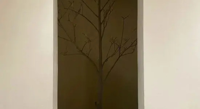Yunmu Boutique Hostel (Chongqing Photovoltaic Park)