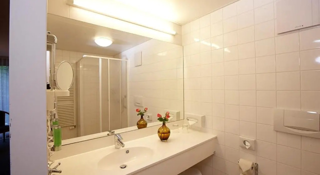 Одноместный номер Standard Hotel Weisses Kreuz