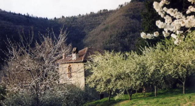 Agriturismo Luce