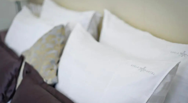 Garsonieră Adele Boutique Hotel