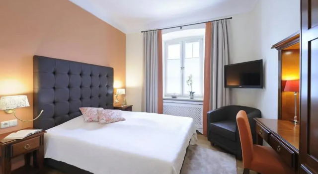 Одноместный номер Economy Hotel Gut Ising