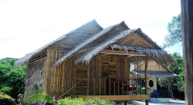 Кровать в общем номере c 1 комнатой Tree Bar Hostel