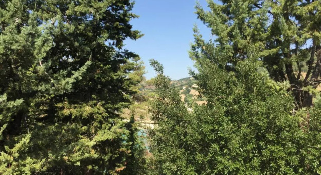 Студия Colle Sul Lago