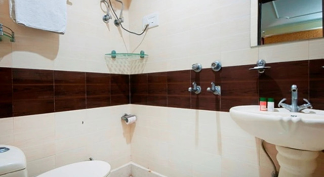 Номер Deluxe Airport Hotel Olive & Blue