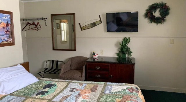Люкс Standard Carroll Motel & Cottages
