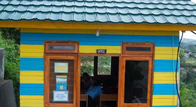 One Tree Hill - Hostel
