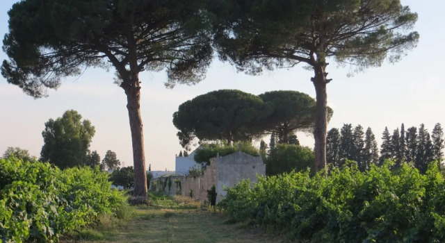 Agriturismo Occhineri, Buchen Sie Hotel San Donaci Salento