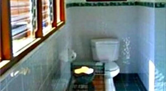 Одноместный номер Standard с видом на сад Busuanga Island Paradise Hotel