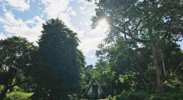 The Forest Cabin Taiping, Book Hotel Taiping Perak