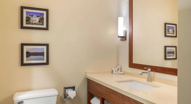 Четырёхместный номер Standard Comfort Inn & Suites Schenectady - Scotia