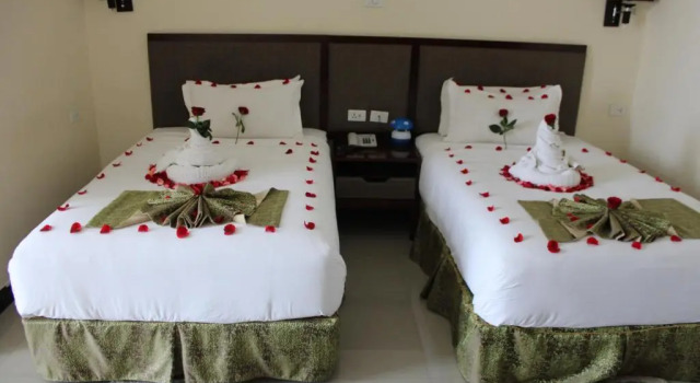 Двухместный номер Standard Unison Hotel and Spa
