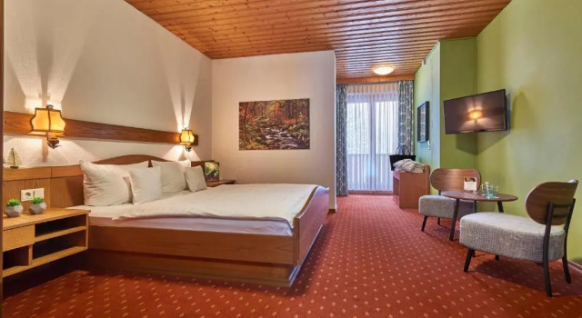 Двухместный номер Standard Hotel der Bäume
