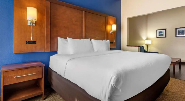 Люкс Comfort Inn & Suites Statesboro - University Area