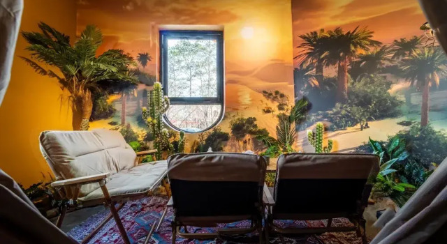 Тент De Vivre Homestay Măng Đen