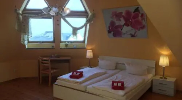 Hostel & Pension NOlift, Book Hostel / Vandrerhjem Hostels i Dresden, Hostel / Vandrerhjem