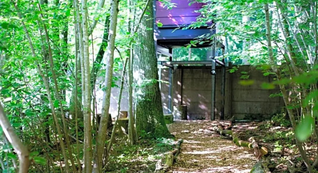 Les Tanières du ZooSafari de Thoiry, 预订 酒店 图瓦里 伊夫林