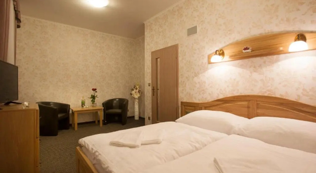 Двухместный номер Standard Comfort Spa Hotel MILLENIUM Karlovy Vary