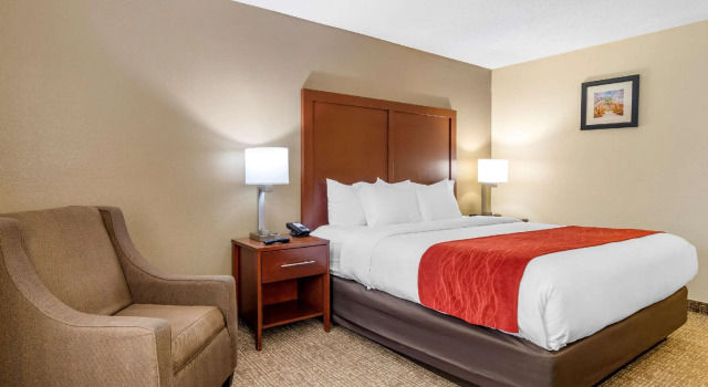 Двухместный номер Standard Comfort Inn & Suites Macon North I-75